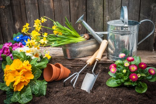 Worker tidying a small Norwood terrace garden