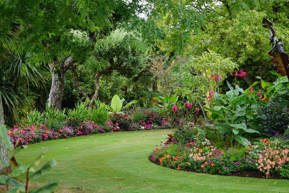 A lush, well-maintained garden featuring a curved, vibrant green lawn bordered by colorful flower beds and shrubbery. On the left, a large tree with a textured trunk and spreading branches provides sh
